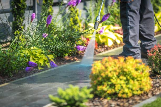 Best Building Exterior Pressure Washing in Sheffield, IA